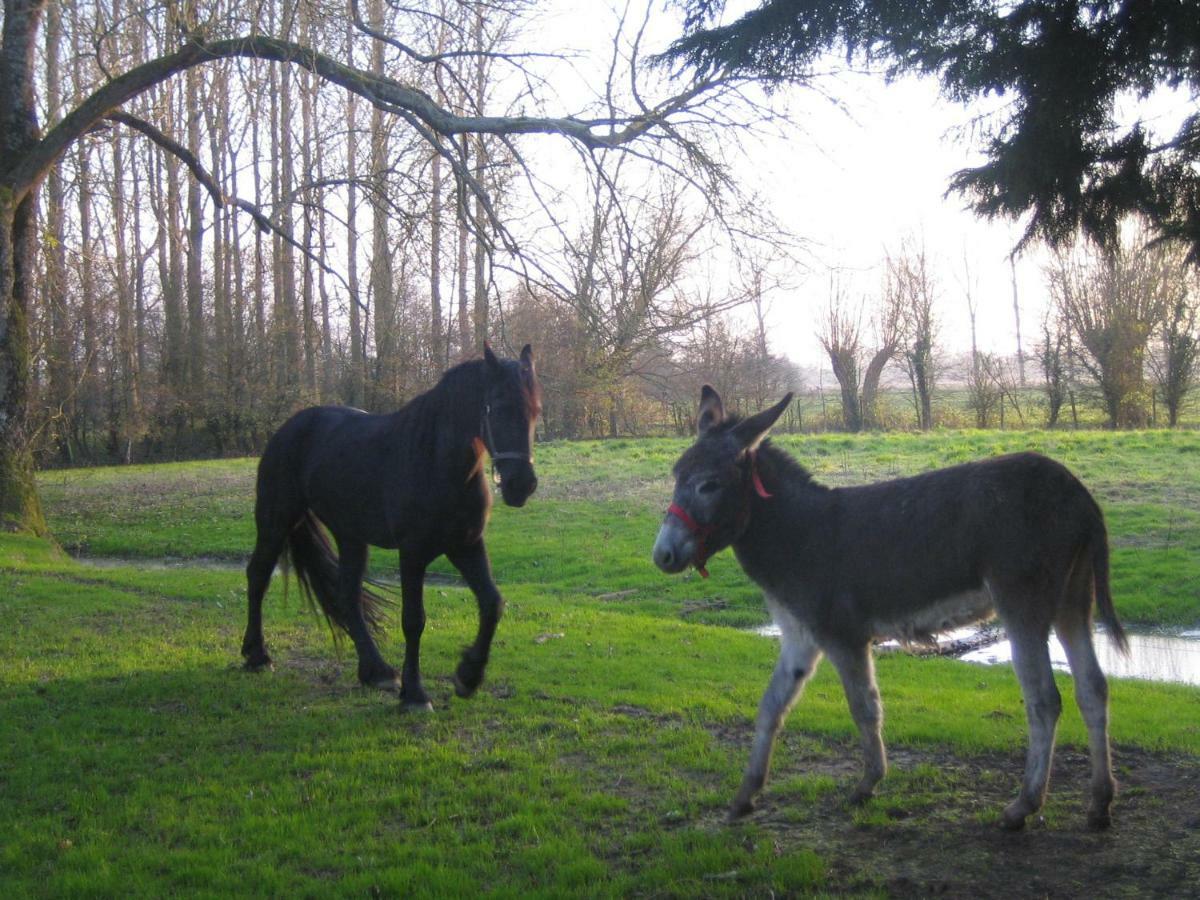 La Ferme De Tigny Villa Bagian luar foto