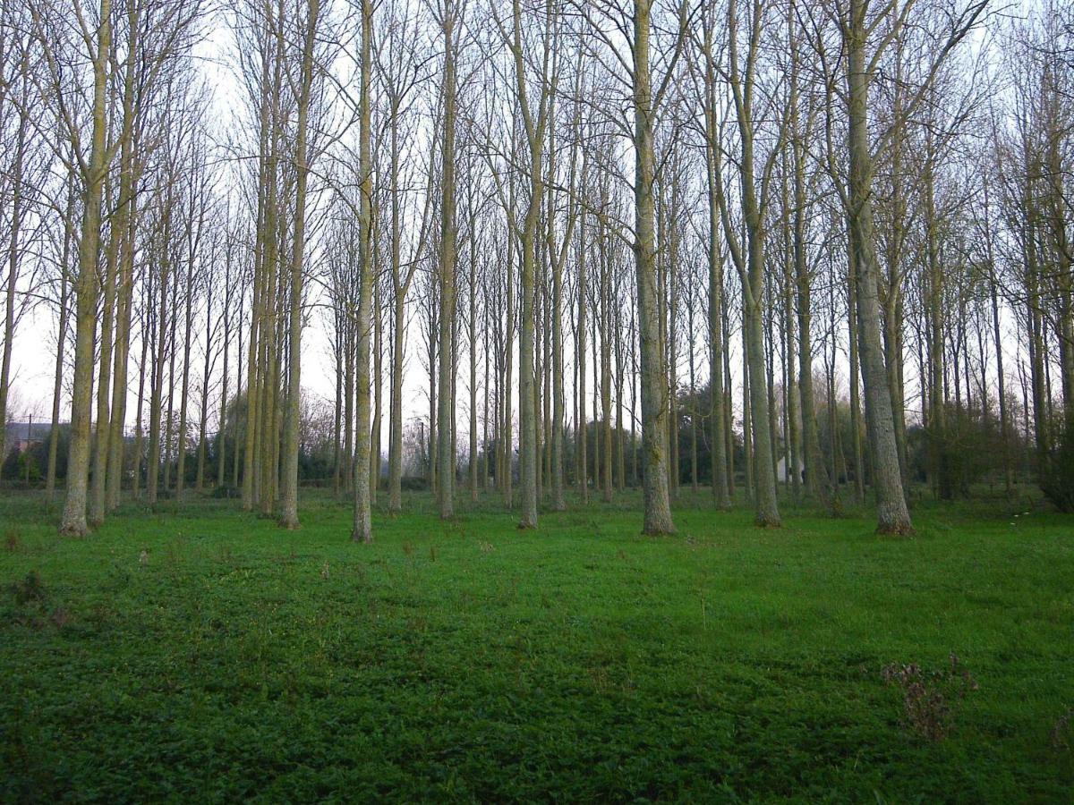 La Ferme De Tigny Villa Bagian luar foto