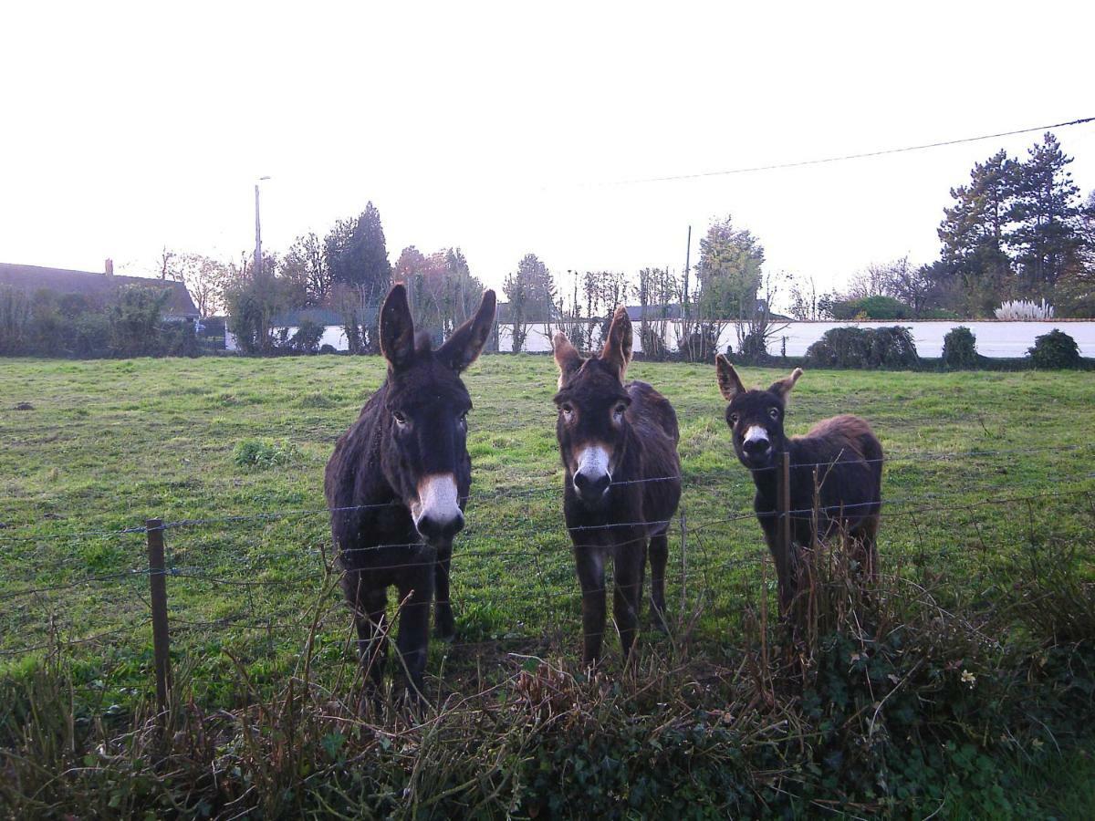 La Ferme De Tigny Villa Bagian luar foto