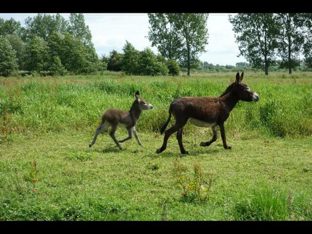 La Ferme De Tigny Villa Bagian luar foto